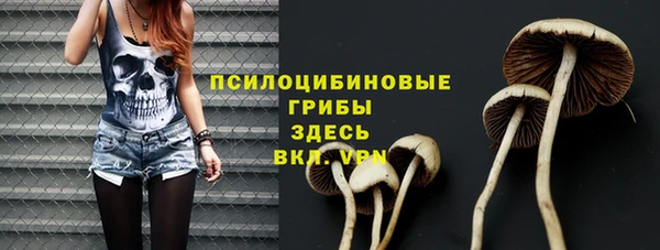 дмт Белокуриха