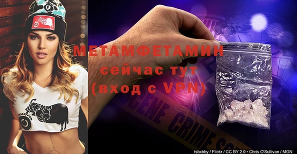 шишки Белоозёрский
