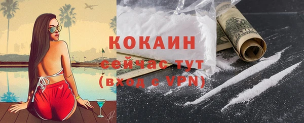мескалин Богородицк
