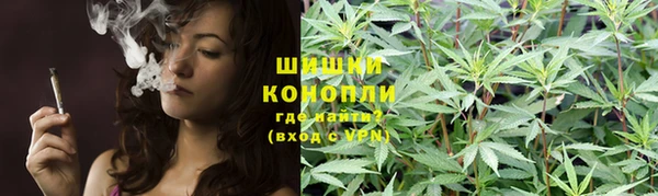 шишки Белоозёрский