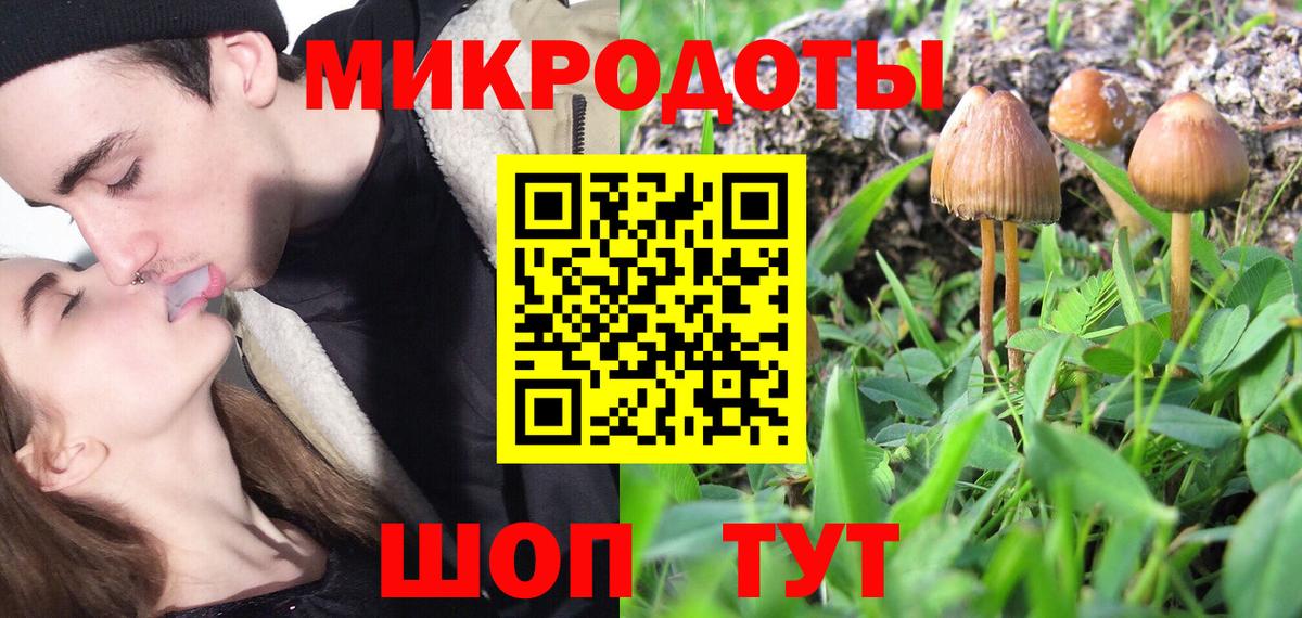 Псилоцибиновые грибы Magic Shrooms Великий Устюг