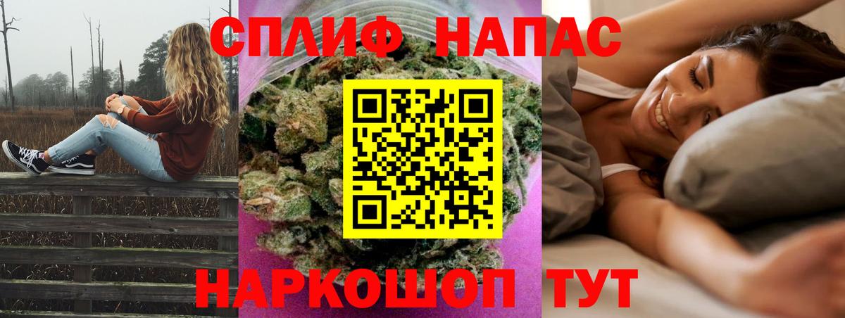 Конопля сатива Великий Устюг
